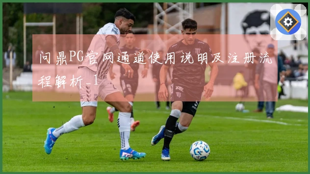 问鼎PG官网通道使用说明及注册流程解析_1