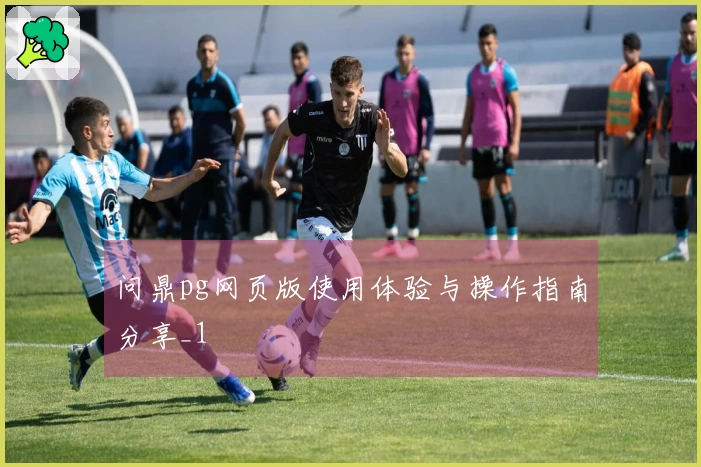 问鼎pg网页版使用体验与操作指南分享_1