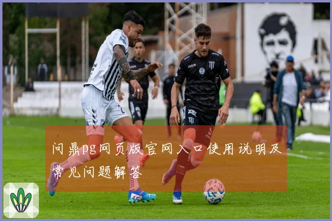 问鼎pg网页版官网入口使用说明及常见问题解答