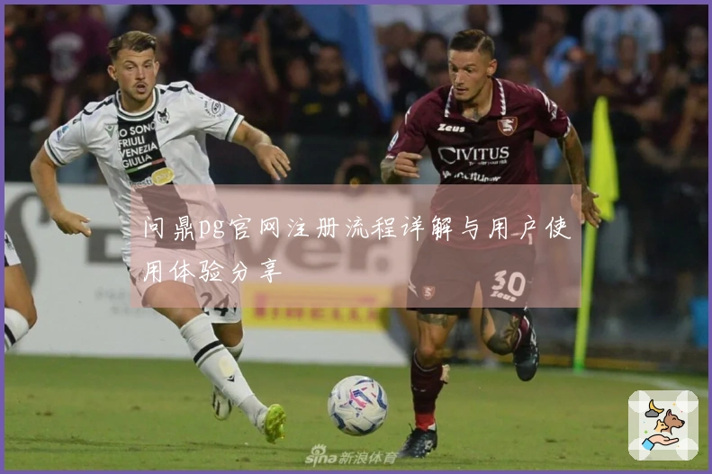 问鼎pg官网注册流程详解与用户使用体验分享