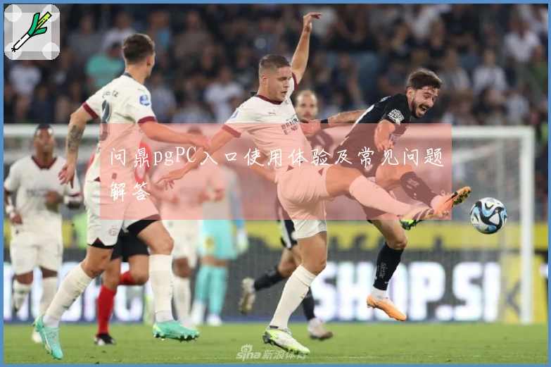 问鼎pgPC入口使用体验及常见问题解答